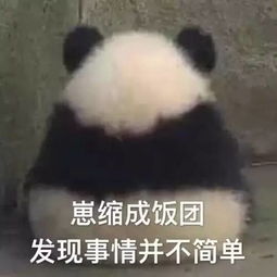 表情包心情简单表情