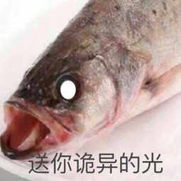 比三文鱼还要励志这条鱼用生命在产卵