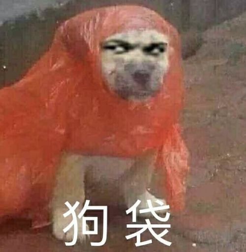 那些年我体验过的上门服务