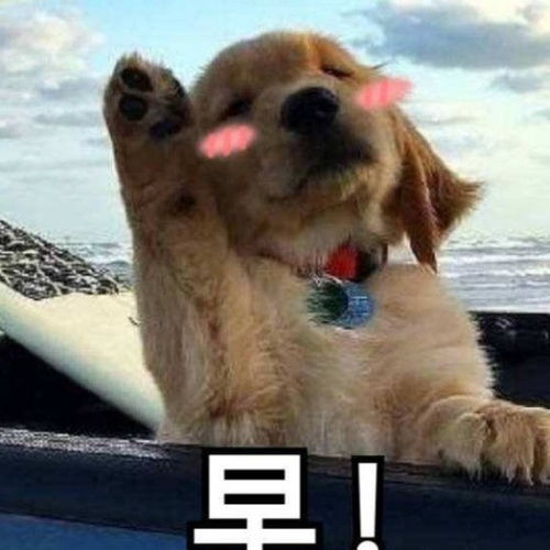 盗墓笔记7邛笼石影第25集