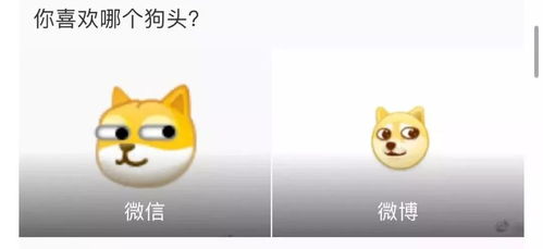微信新增10款表情包旺柴吃瓜上线啦你的有了吗
