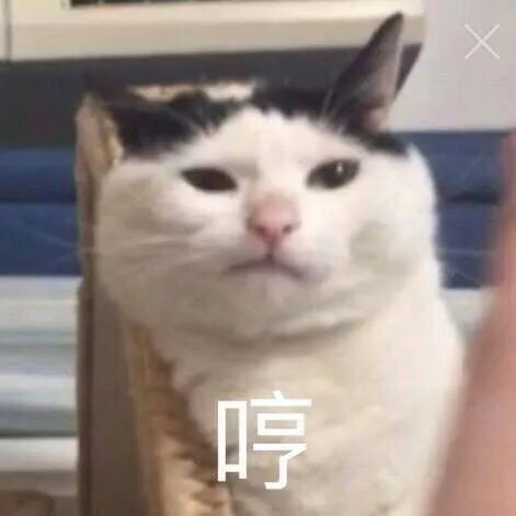 小火汁摇了我八的相册大脑斧表情包