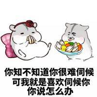 哄女生表情包微信头像图片大全