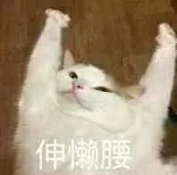 你是什么身型就该怎么穿衣服,穿对了好看到犯规