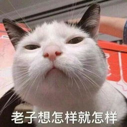 你们考上研究生那一年,多大了