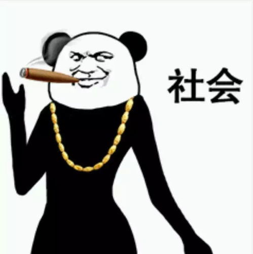 当代年轻人就爱瞎搞,被他们的改名新套路幽默到了