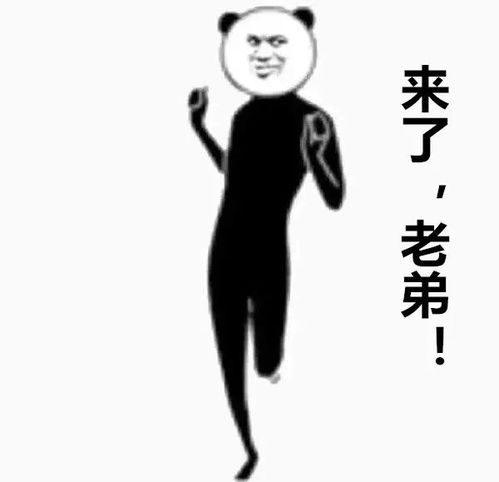中秋怎样一天玩遍海陆空