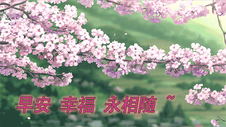 清晨超温馨的早安问候动态表情,早上好最暖心问候短语