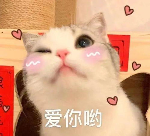 阵风9级气温33大风沙尘继续明天要上班