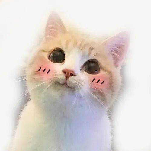 看我如何独得爸妈恩宠