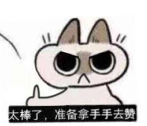 还有不认识这只挖煤猫表情包的冲浪老哥吗