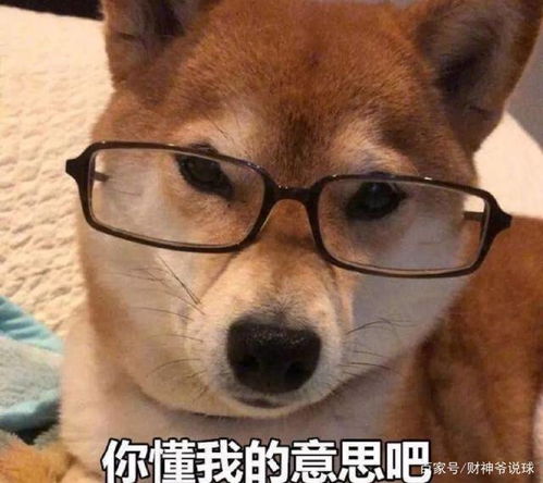 封盖绝杀波普定律真香詹姆斯极致一扣预定年度最佳
