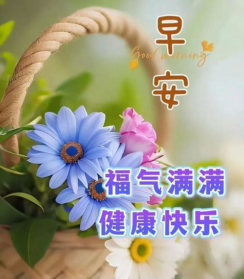 早安图片2025年最新版3月14日早上好图片早上好图片最新今天