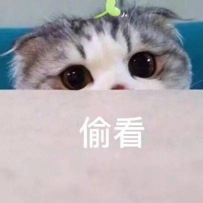 真人实测夏日水蜜桃的battle,这颗桃子打败了四个对手