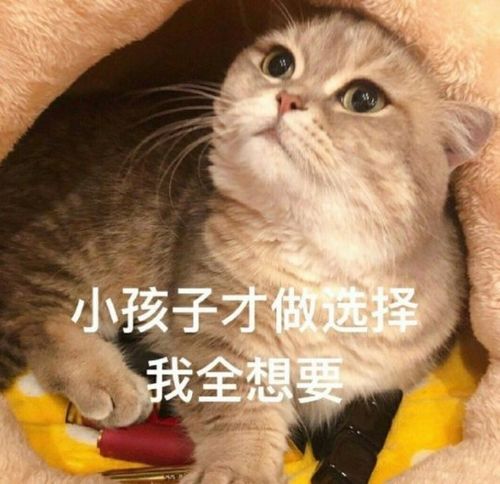 吃货必看乐山主要美食区线路及停车点位出炉