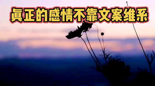 文案背后寻找真正懂你的人