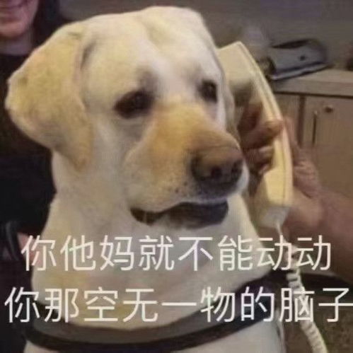 表情包你要伞吗我被淋湿也没关系哦