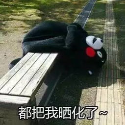 夏日练车不怕晒,学车当然选伟华