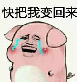 谁说猪都好吃懒做,表情包里的它们简直是万能萌神