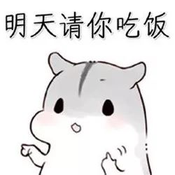 食在广州丨想喝地道的早茶,我推荐这几家