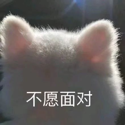 超可爱的女生聊天表情包