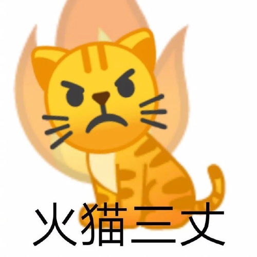 超可小狗狗小猫猫表情包