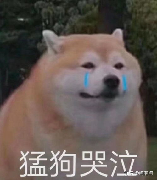 如何评价电影乱世佳人中的斯嘉丽
