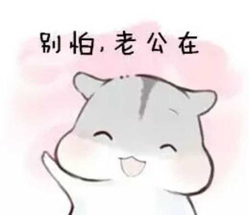 仓鼠表情包夫君不在,寂寞如雪