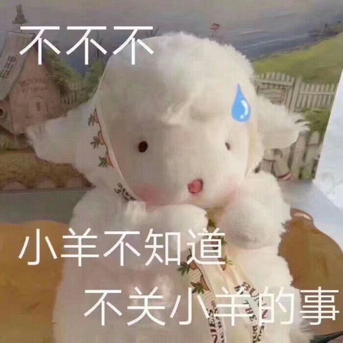 有什么好看的表情包吗
