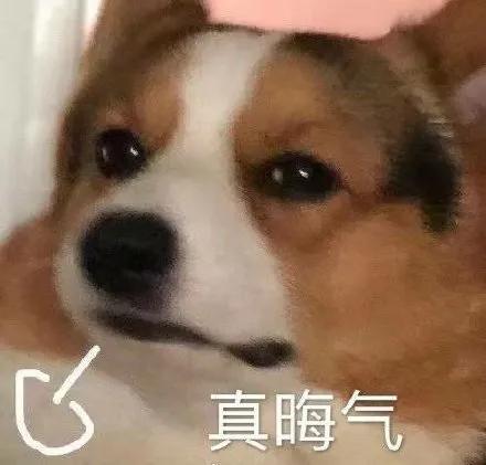 表情包心情简单沙雕