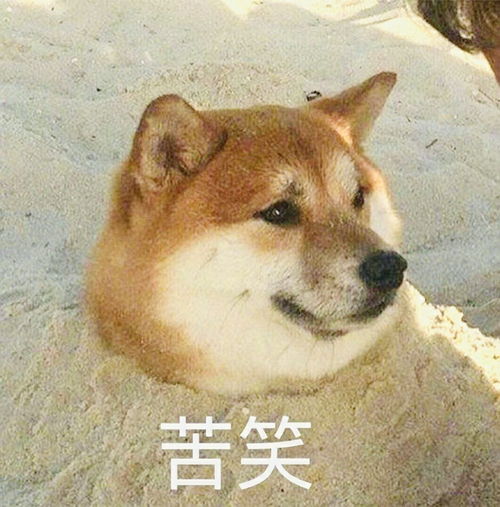 锤了明星伙食费一天650还不够