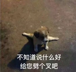 如何看待中国药科大学保安将流浪狗打死一事