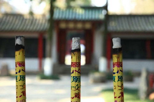 在农村,这几样东西农民很忌讳,能借不能还,否则可能会遭人骂