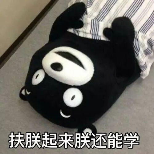 我们终将坠入爱河