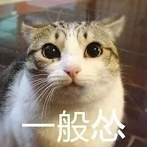 欢笑集锦李大爷买了一辆低座安全的小摩托车