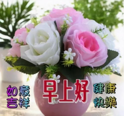 早安问候语问候语及关心话表情包图片大全早晨好表情包