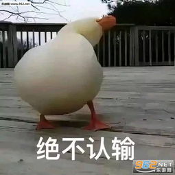 发出反派的笑声表情包绝不认输表情包原图下载乐游网游戏下载