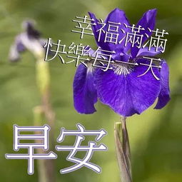 清晨最漂亮的问候语表情图片,致早安的温馨问候祝福语