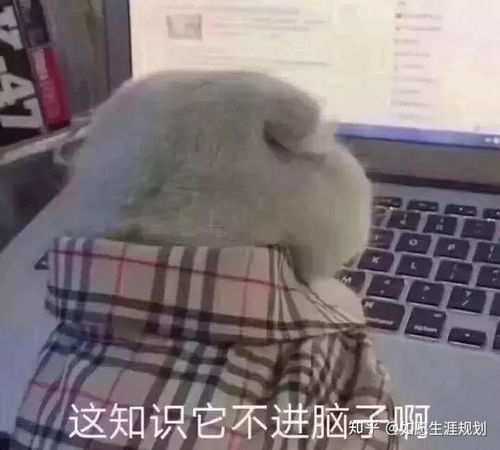 百度识图找表情包情头