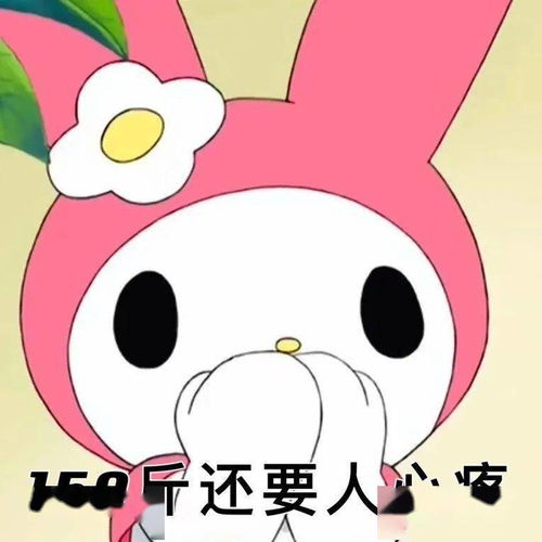 孙一宁王思聪聊天表情包