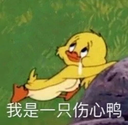 搞怪表情包文案