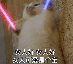 表情包,直男怎么哄女生,土味套路情话你想知道么