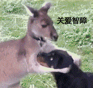 我讲一个没人关心的大事每日搞笑段子