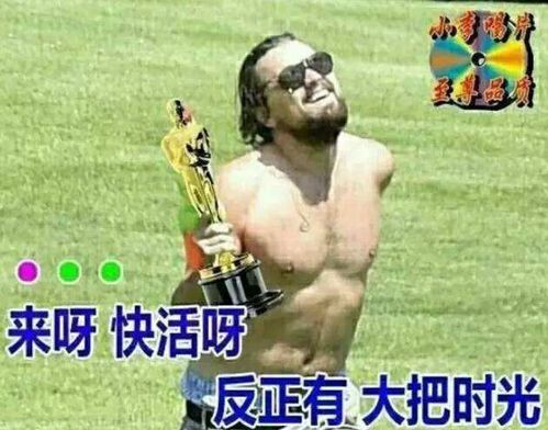 小李子表情包全集最佳男主角