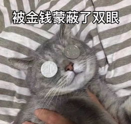 猜爆款top1这件长款羽绒服,比男朋友还暖