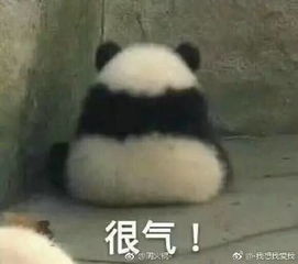 为了追一个有10k粉丝的某网红博主,男友和我分手了