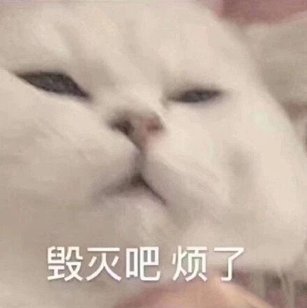 手误加了帅哥秒通过之后,被高冷击败