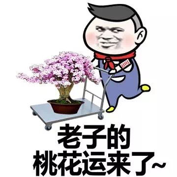 小学生搞笑表情包老子的桃花运来了