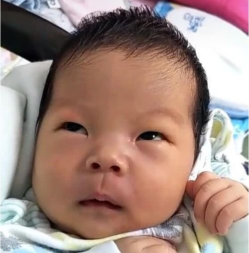 当新生宝宝被抱回家后,一脸嫌弃的表情这种家庭也敢生我