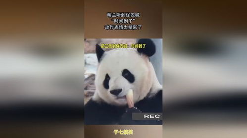 萌兰听到保安喊,时间到了,动作表情太精彩了